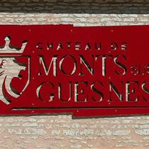 Château de Monts sur Guesnes