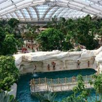 Piscine du Center Parcs du bois aux daims dans la Vienne, près du camping du Futur