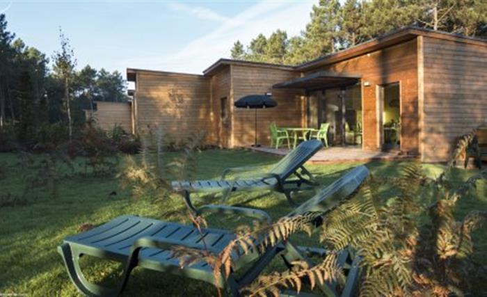 Logement du Center Parcs du bois aux daims dans la Vienne, près du camping du Futur
