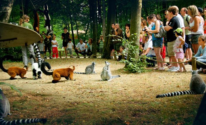 La Vallée des Singes