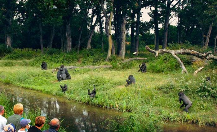La Vallée des Singes