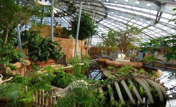 la serre tropicale de Terre de Dragons