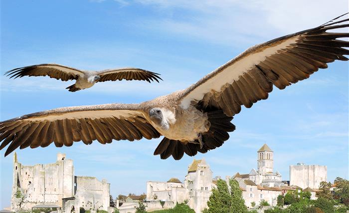 Les Géants du Ciel à Chauvigny