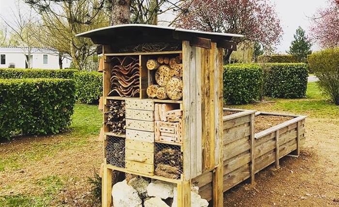 Jardin aromatique avec hôtel à insectes