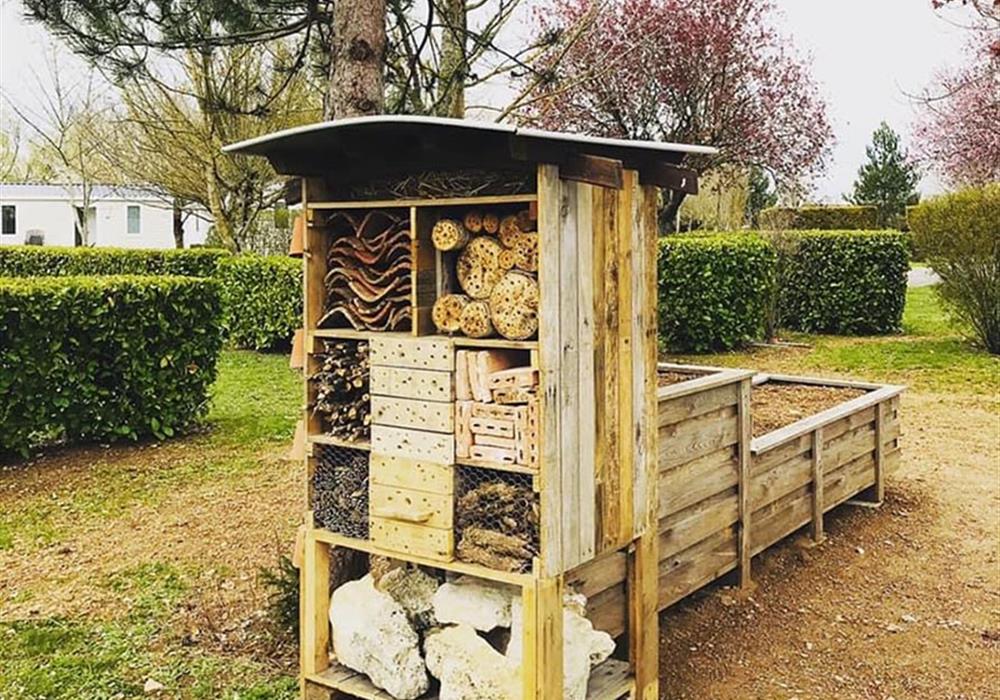 Jardin aromatique avec hôtel à insectes