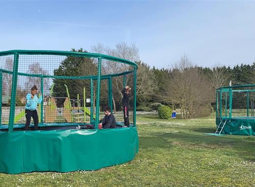 Trampoline Kangui