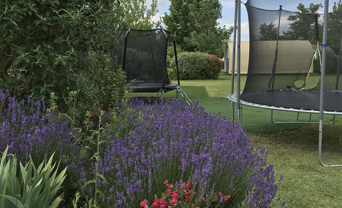 Trampolines au Camping du Futur